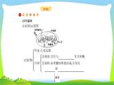 人教版高考生物总复习3.3能量之源—光与光合作用完美课件PPT