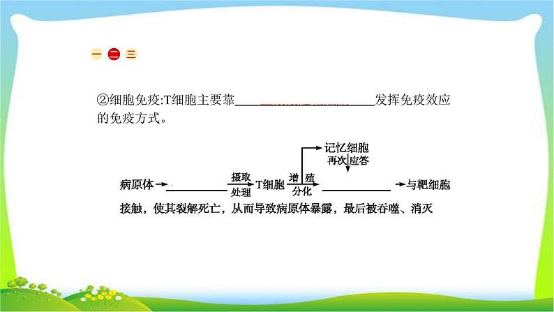 人教版高考生物总复习9.4免疫调节完美课件PPT第6页