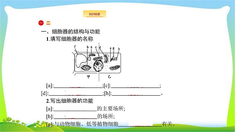 人教版高考生物总复习2.2细胞器与生物膜系统完美课件PPT02