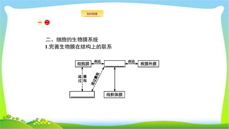 人教版高考生物总复习2.2细胞器与生物膜系统完美课件PPT04