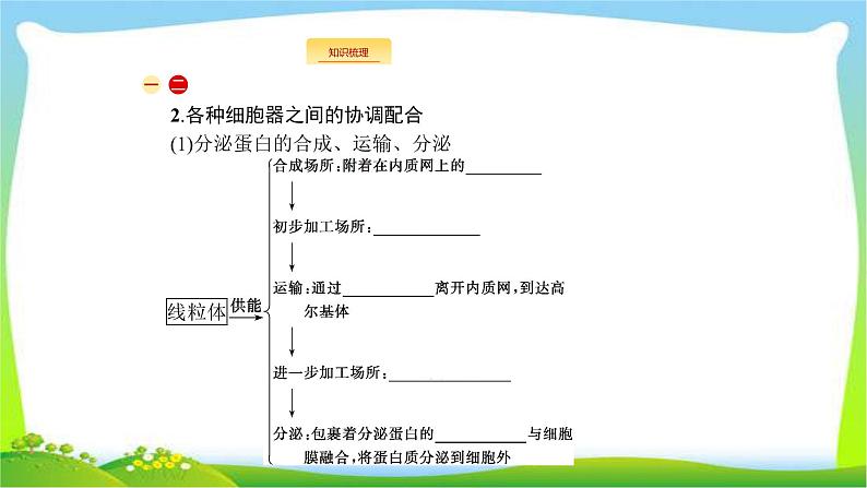 人教版高考生物总复习2.2细胞器与生物膜系统完美课件PPT05