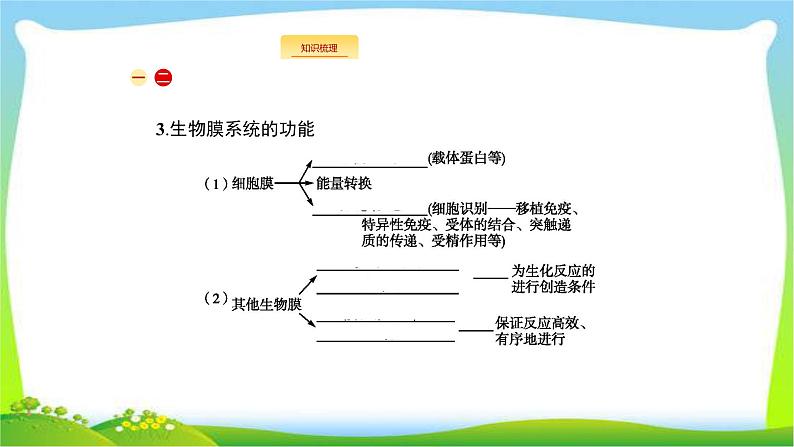 人教版高考生物总复习2.2细胞器与生物膜系统完美课件PPT07