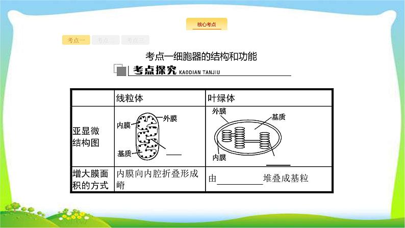 人教版高考生物总复习2.2细胞器与生物膜系统完美课件PPT08