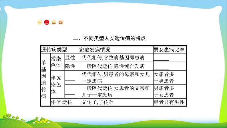 人教版高考生物总复习6.2人类遗传病完美课件PPT第4页