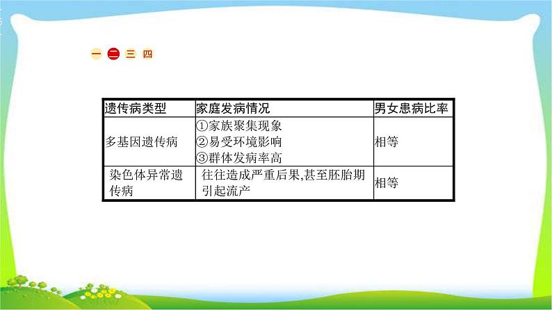 人教版高考生物总复习6.2人类遗传病完美课件PPT第5页