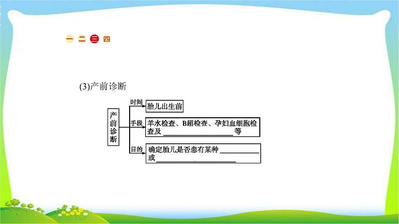 人教版高考生物总复习6.2人类遗传病完美课件PPT第7页