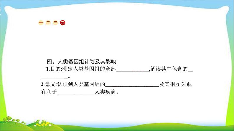 人教版高考生物总复习6.2人类遗传病完美课件PPT第8页