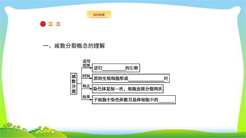 人教版高考生物总复习4.2减数分裂和受精作用完美课件PPT第2页