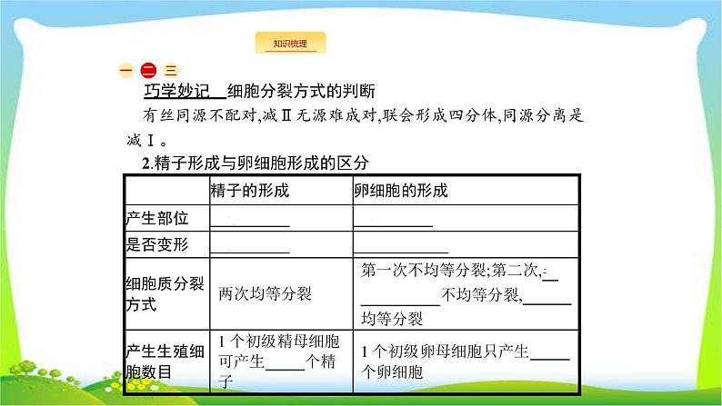 人教版高考生物总复习4.2减数分裂和受精作用完美课件PPT第4页