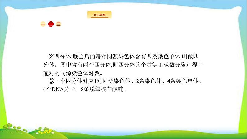 人教版高考生物总复习4.2减数分裂和受精作用完美课件PPT第8页