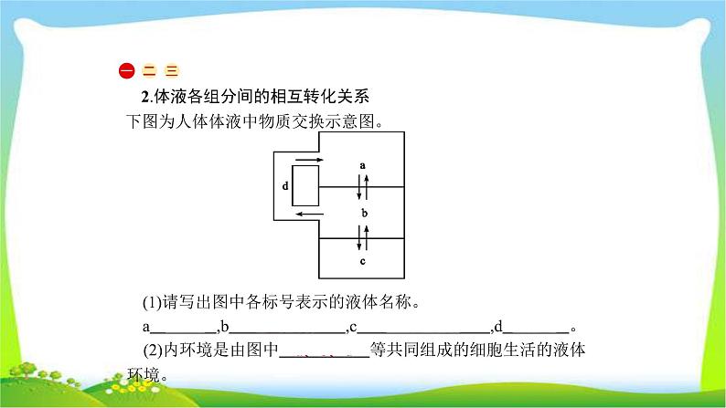 人教版高考生物总复习9.1人体的内环境与稳态完美课件PPT第5页