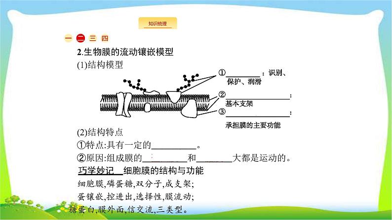 人教版高考生物总复习2.1细胞膜和细胞核完美课件PPT07