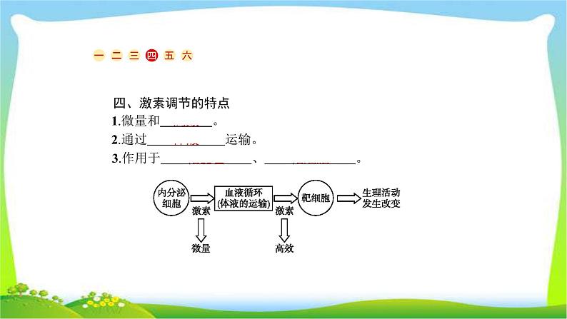 人教版高考生物总复习9.3通过激素的调节完美课件PPT第6页