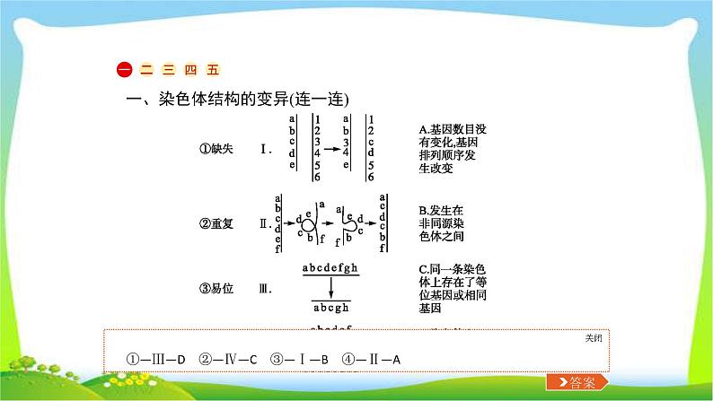 人教版高考生物总复习8.2染色体变异及生物育种完美课件PPT第2页