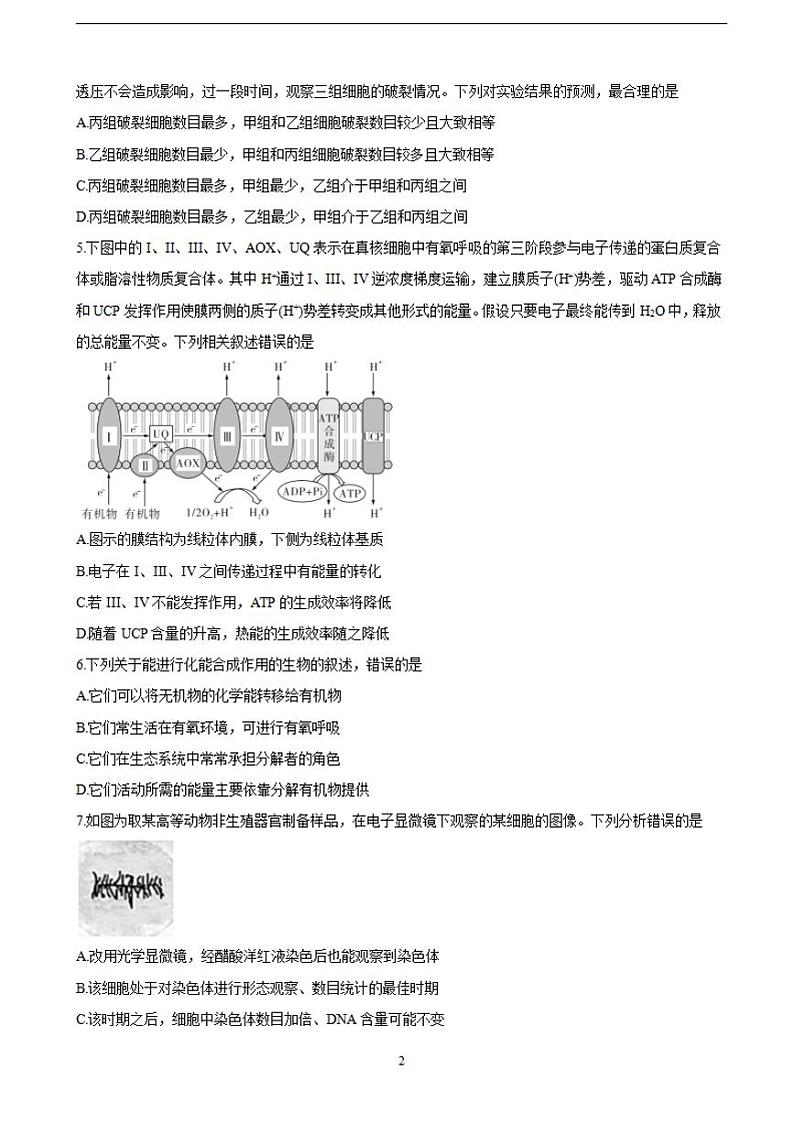 2022届湖南省三湘名校、五市十校教研教改共同体高三上学期第一次大联考 生物（含答案）练习题第2页