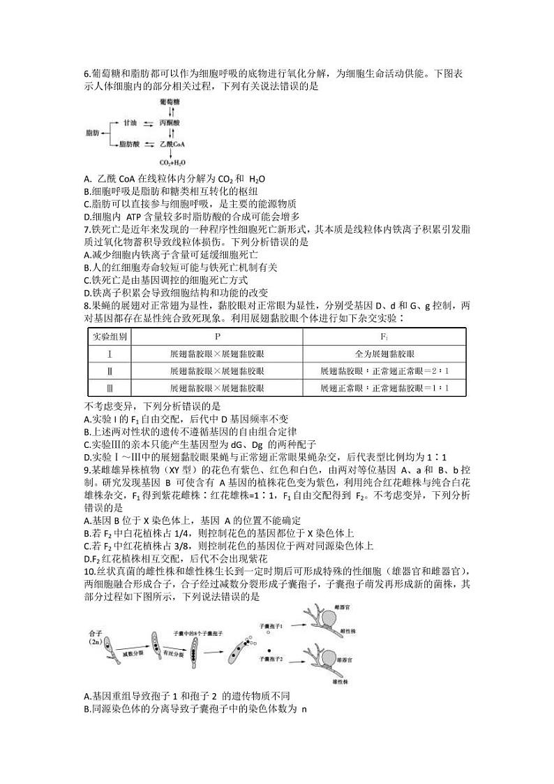 2022届山东省德州市高三上学期期中考试生物试题（PDF版含答案）02
