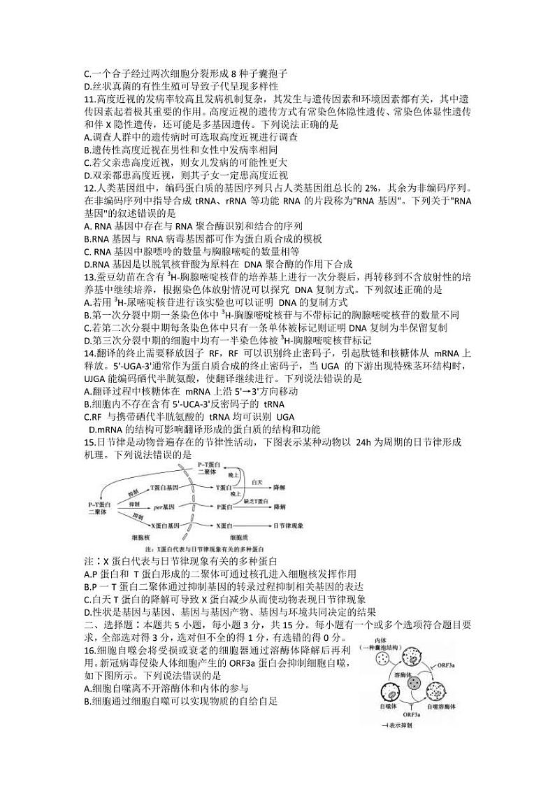 2022届山东省德州市高三上学期期中考试生物试题（PDF版含答案）03