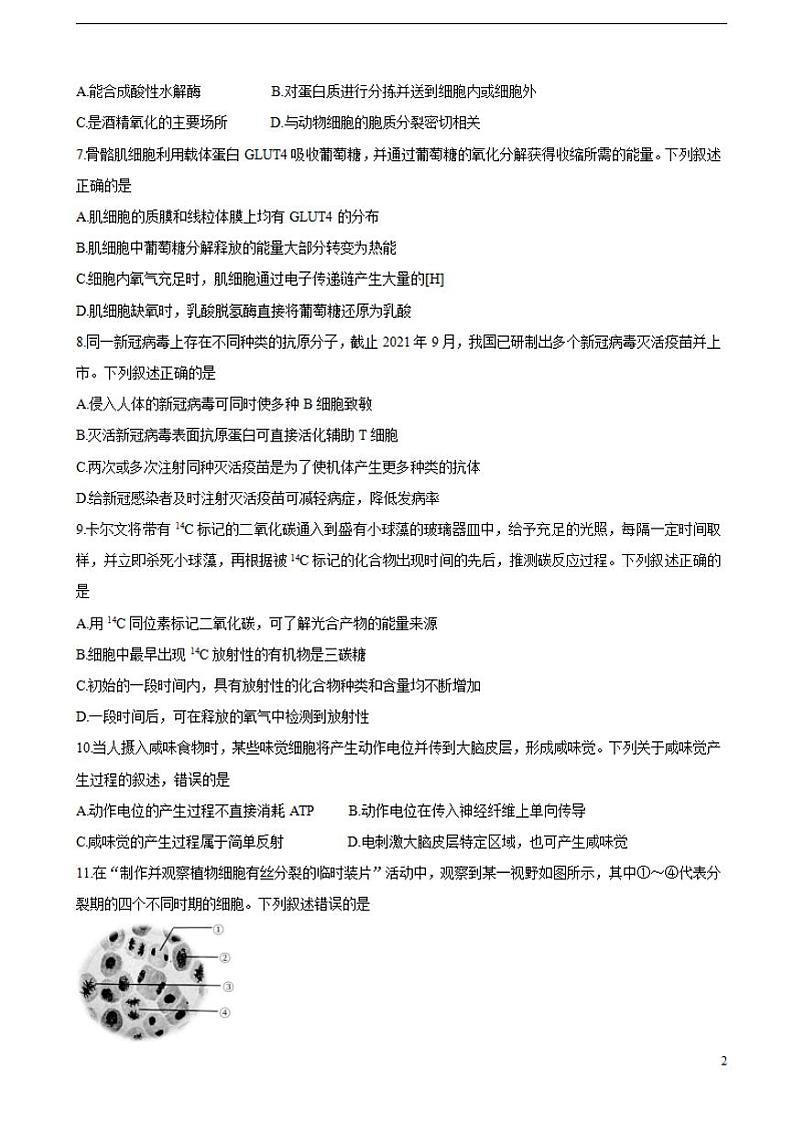 2022届浙江省绍兴市高三上学期11月选考科目诊断性考试生物（word版含答案）练习题第2页