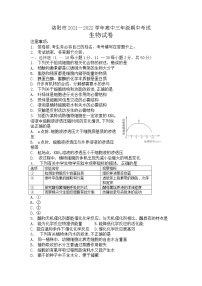 2022届河南省洛阳市高三上学期期中考试生物试题（word版含答案）