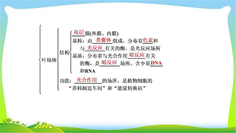 人教版高考生物总复习2.2细胞器与生物膜系统完美课件PPT06