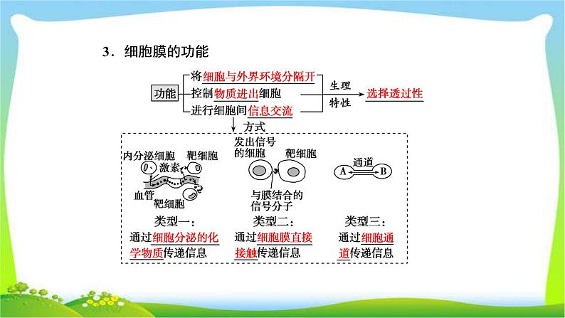 人教版高考生物总复习2.1细胞膜和细胞核完美课件PPT06