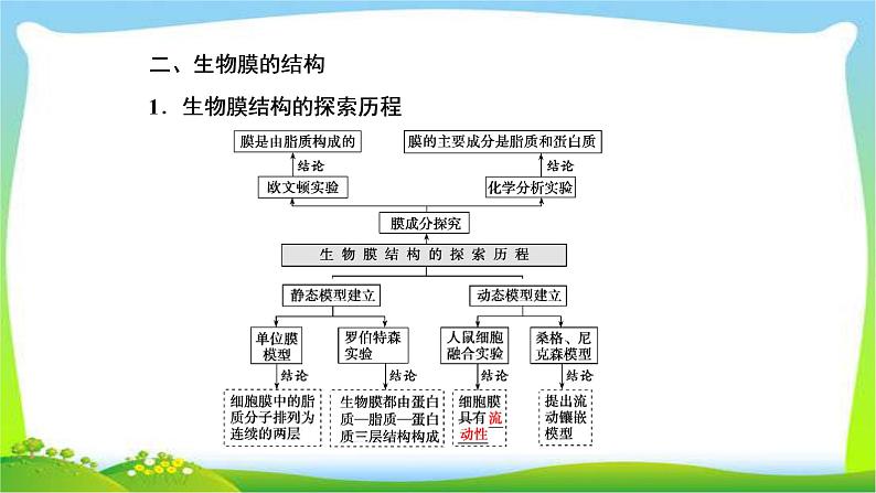 人教版高考生物总复习2.1细胞膜和细胞核完美课件PPT07