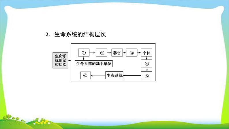 人教版高考生物总复习1.1走近细胞完美课件PPT第5页