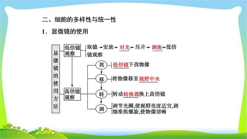 人教版高考生物总复习1.1走近细胞完美课件PPT第7页