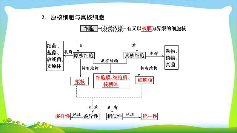 人教版高考生物总复习1.1走近细胞完美课件PPT第8页