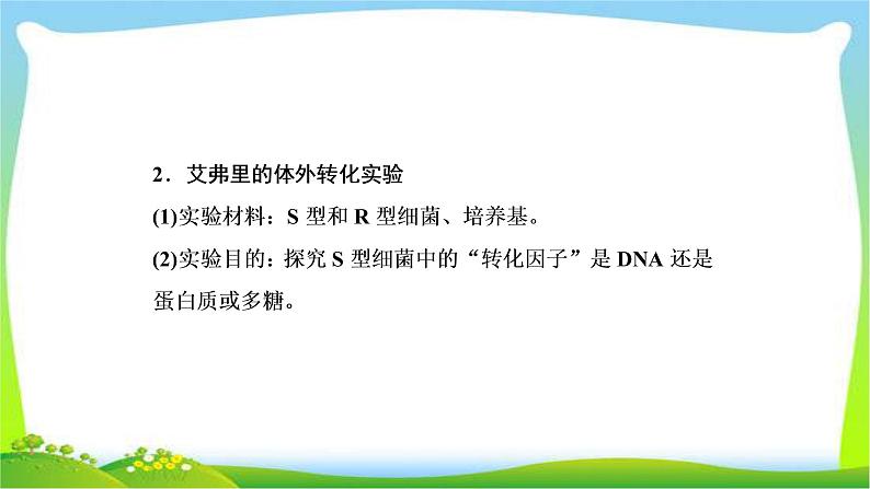 人教版高考生物总复习6.1DNA是主要的遗传物质完美课件PPT06