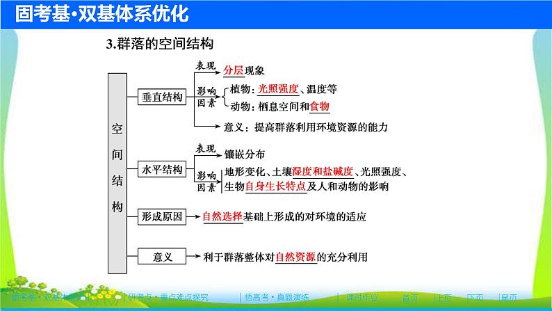 人教版高考生物总复习9.2群落的结构和演替完美课件PPT第6页