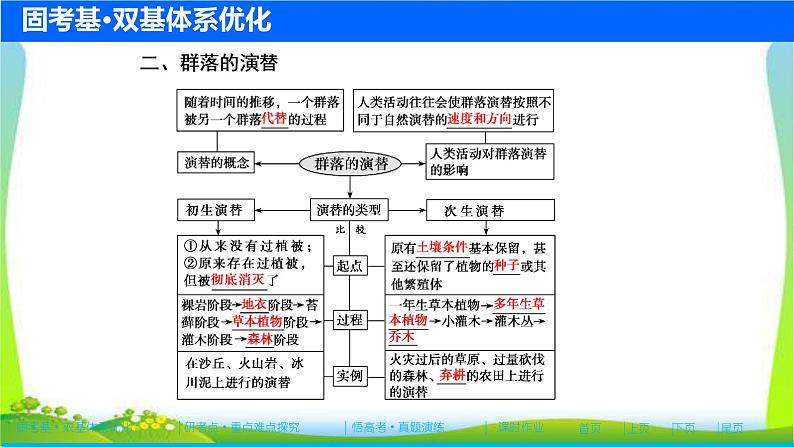 人教版高考生物总复习9.2群落的结构和演替完美课件PPT第7页