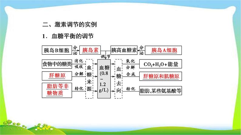 人教版高考生物总复习8.3激素调节及其与神经调节的关系完美课件PPT第5页