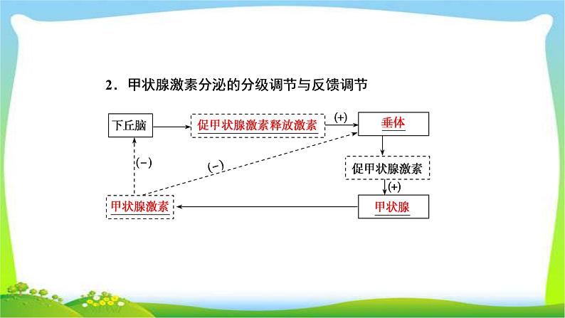 人教版高考生物总复习8.3激素调节及其与神经调节的关系完美课件PPT第7页