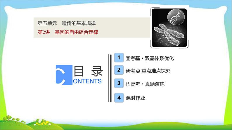 人教版高考生物总复习5.2基因的自由组合定律完美课件PPT第1页