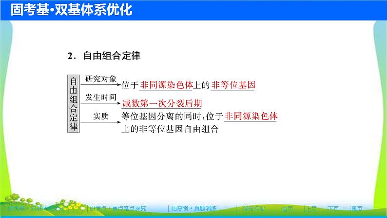 人教版高考生物总复习5.2基因的自由组合定律完美课件PPT第5页