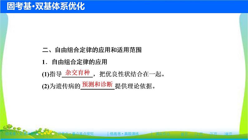 人教版高考生物总复习5.2基因的自由组合定律完美课件PPT第6页