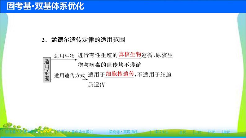 人教版高考生物总复习5.2基因的自由组合定律完美课件PPT第7页