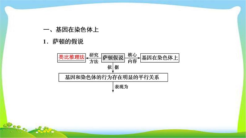 人教版高考生物总复习5.3基因在染色体上与伴性遗传完美课件PPT第4页