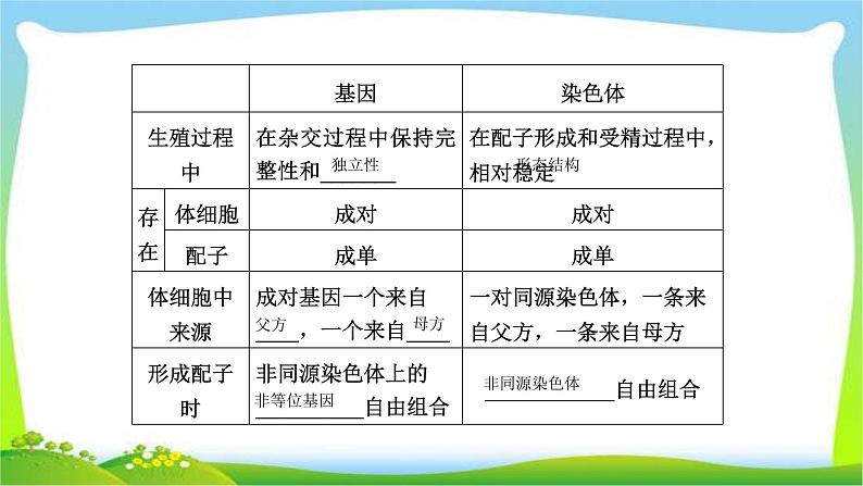 人教版高考生物总复习5.3基因在染色体上与伴性遗传完美课件PPT第5页