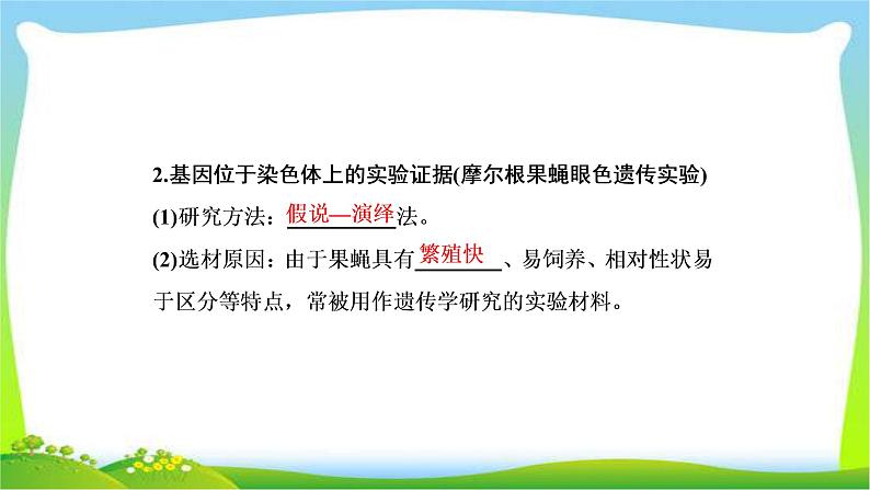 人教版高考生物总复习5.3基因在染色体上与伴性遗传完美课件PPT第6页