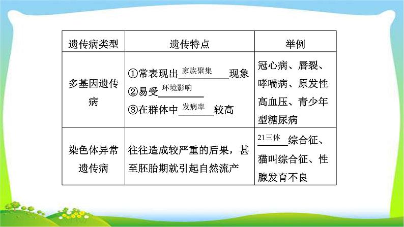 人教版高考生物总复习5.4人类遗传病完美课件PPT第7页