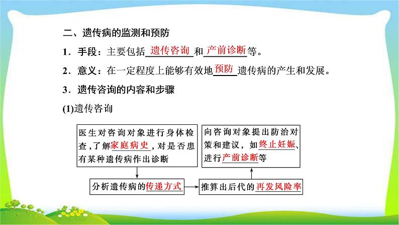 人教版高考生物总复习5.4人类遗传病完美课件PPT第8页