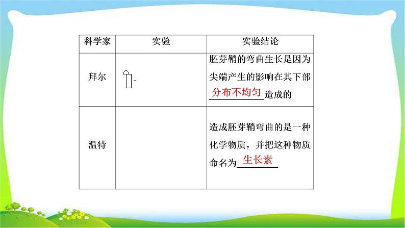 人教版高考生物总复习8.5植物的激素调节完美课件PPT05