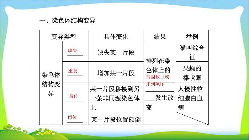 人教版高考生物总复习7.2染色体变异完美课件PPT第4页