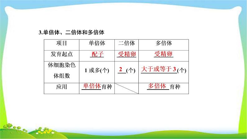 人教版高考生物总复习7.2染色体变异完美课件PPT第7页