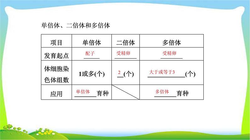 人教版高考生物总复习7.2染色体变异完美课件PPT第8页