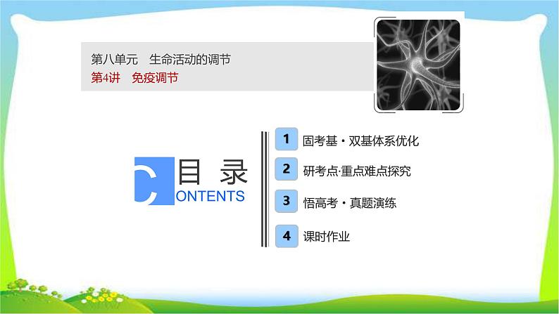 人教版高考生物总复习8.4免疫调节完美课件PPT01