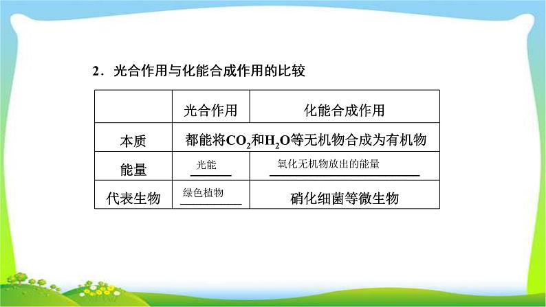 人教版高考生物总复习3.4光合作用与呼吸作用的关系及影响因素完美课件PPT第5页