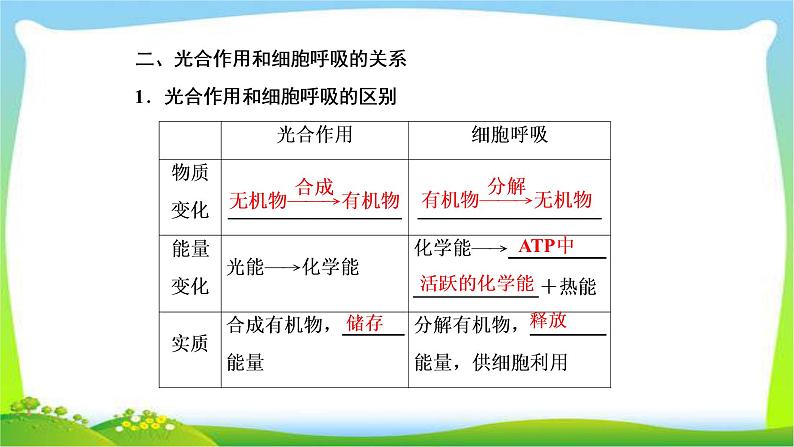 人教版高考生物总复习3.4光合作用与呼吸作用的关系及影响因素完美课件PPT第6页